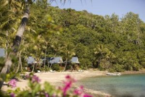 Palm bay resort accommodation whitsundays